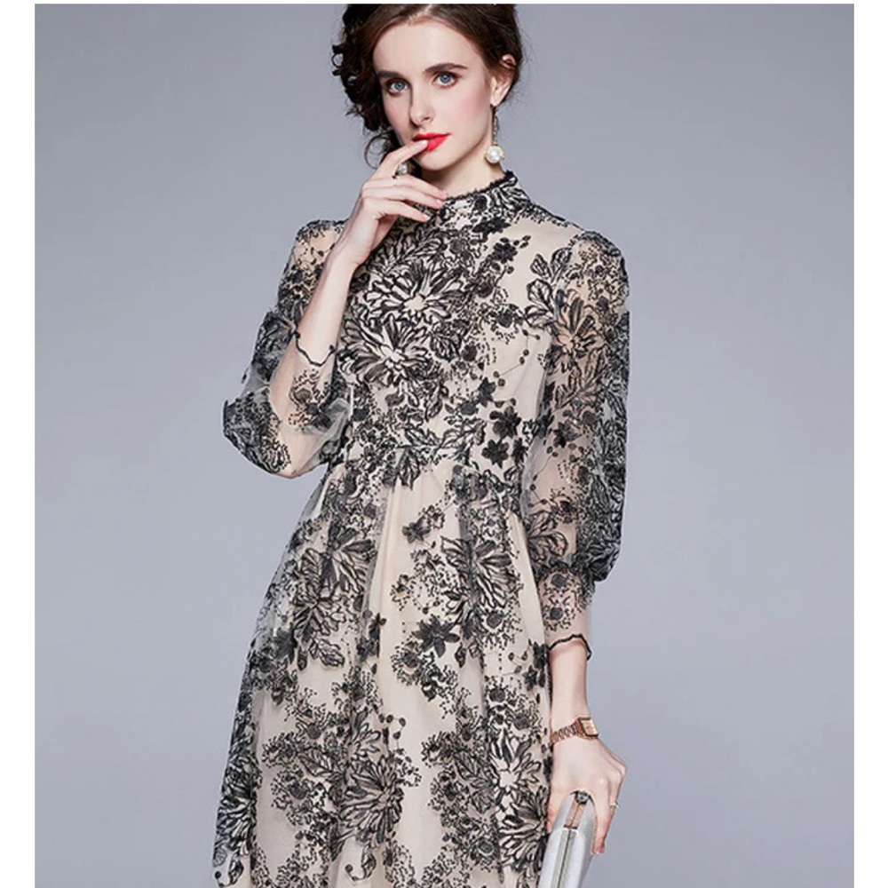 NWT, never worn, beautiful Vicky and Lucas dress.